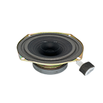 Changzhou Omega electronic speaker